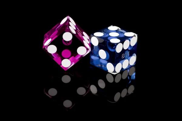 rajamujur Live Casino